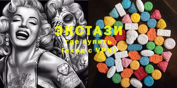 ECSTASY Богданович